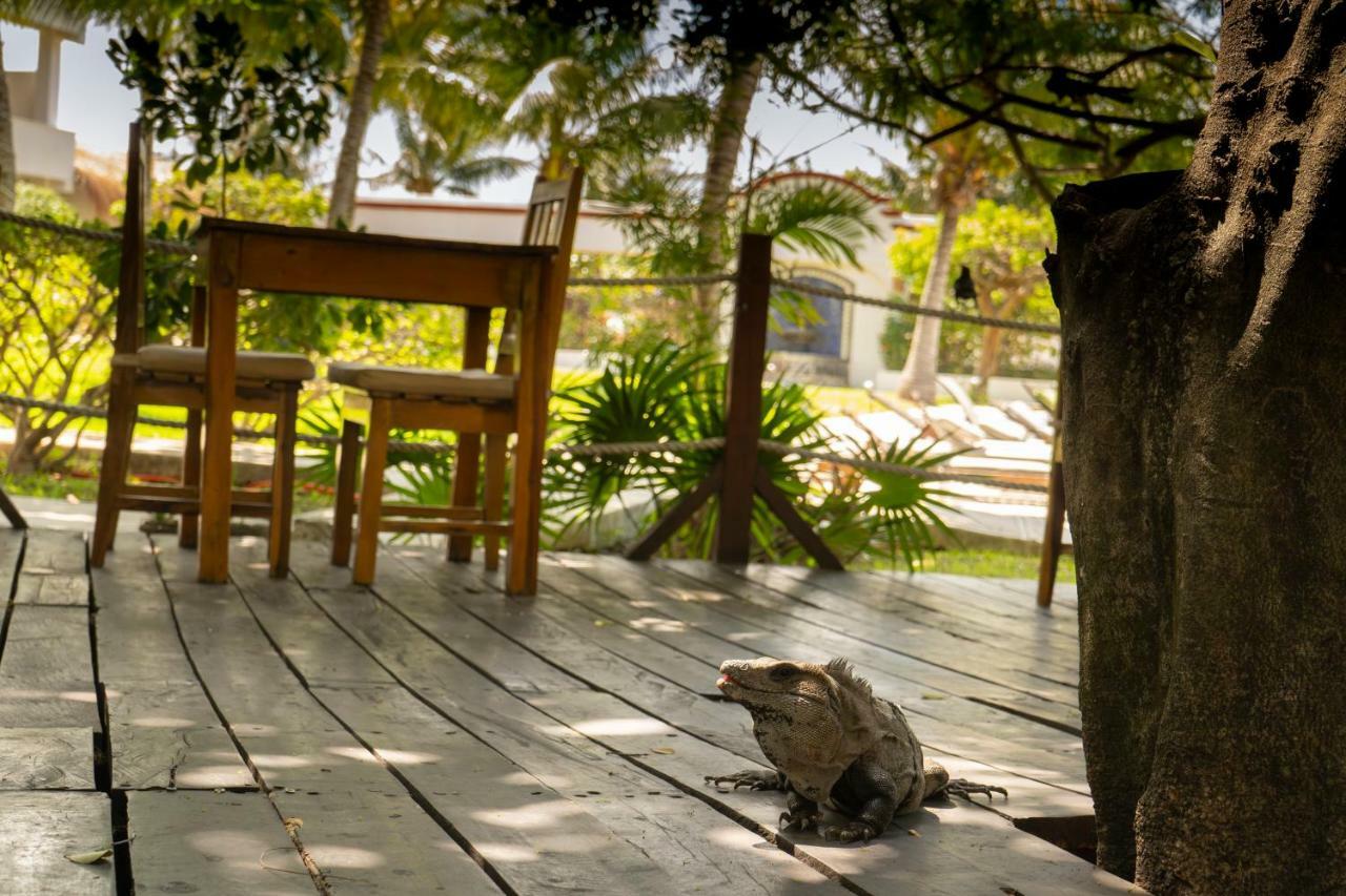 Marina Paraiso Isla Mujeres Hotel Экстерьер фото